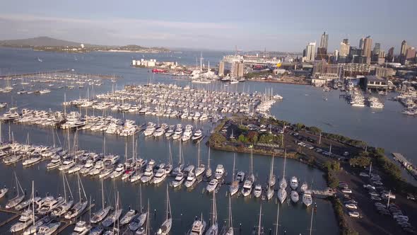 Viaduct Harbour, Auckland New Zealand