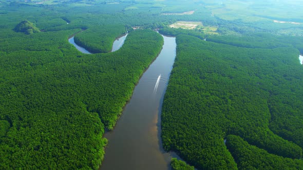 4K Aerial view of mangrove forest at khao jom pa, trang, Thailand. 4k Footage