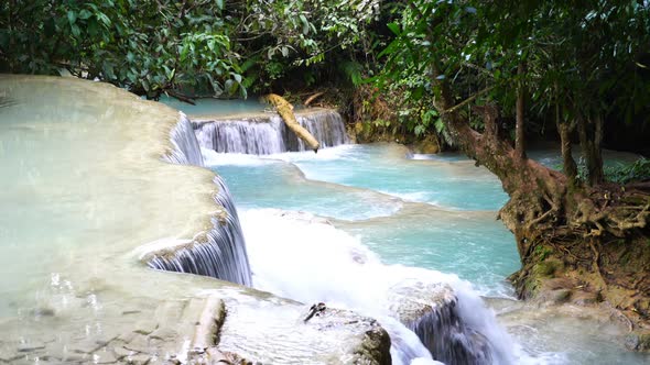 Waterfall & Tree