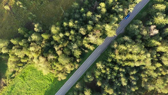 Top down of road through Konigsdorfer Moor, Upper Bavaria, Germany