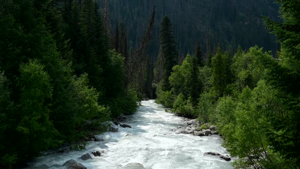 Landscape with river in forest