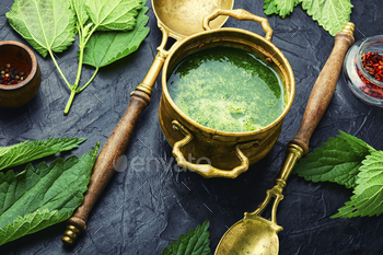 Rural lunch, nettle soup / Photodune, Misc