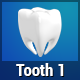 Tooth Rotate V1 - VideoHive Item for Sale