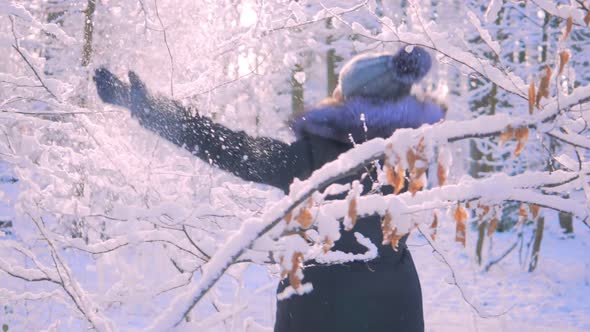 Woman Throwing Snow in the Air From Tree Branches in Winter Forest