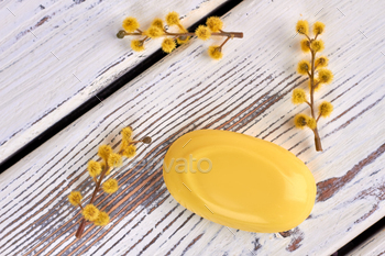Yellow soap bar with pussy willow branch on white wood. / Photodune, Misc