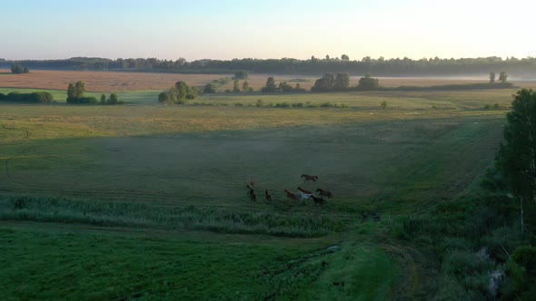 Aerial Viev of Summer