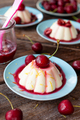 Panna Cotta with cherry sauce - PhotoDune Item for Sale