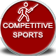 Competitive Sports Fencing