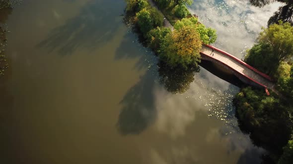 Public park romantic small walking bridge over pond located at green quiet scenery trees hanging ove