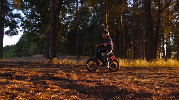 A Little Boy Rides a Bicycle. Baby Rides at Sunset, in the Park. Sports and Recreation.