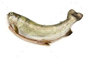 Gutted trout on white background / Photodune, Misc