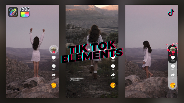 TikTok Elements