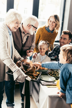 happy grandmother carrying turkey for family on thanksgiving dinner / Photodune, Misc