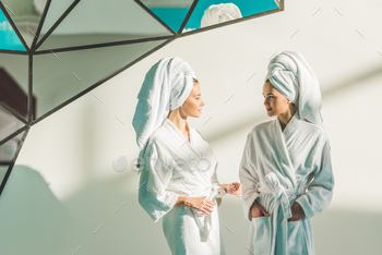 beautiful young women in bathrobes at spa center / Photodune, Misc