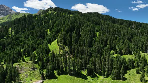 Beautiful summer day in the Dolomites mountains