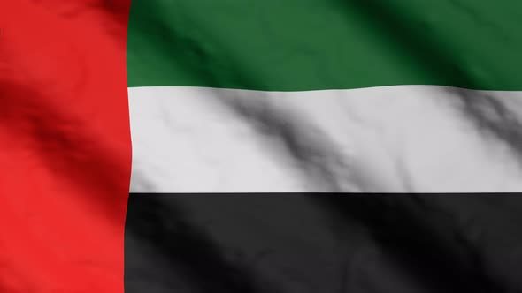 United Arab Emirates flag waving in the wind.