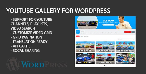 Youtube Gallery Portfolio WordPress Plugin