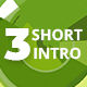 Short Logo Intro - VideoHive Item for Sale