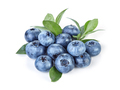 Blueberry - PhotoDune Item for Sale