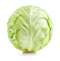 Cabbage - PhotoDune Item for Sale