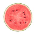 Slice of watermelon - PhotoDune Item for Sale