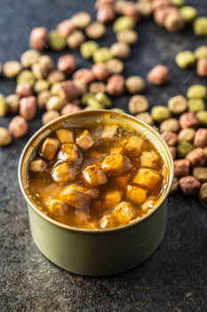 Canned pet food and dried kibble. Tasty food for dog or cat. / Photodune, Misc