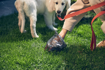 Female using a plastic trash bag outdoors / Photodune, Misc