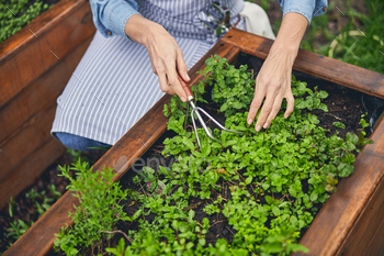 Woman gardener working with a cultivator outdoors / Photodune, Misc