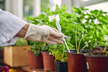 Female botanist conducting scientific research in a laboratory / Photodune, Misc