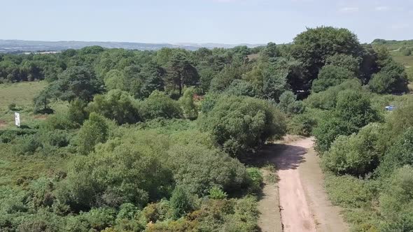 Panoramic view of beautiful green woodland in Woodbury, England.