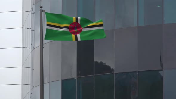 Dominica Flag  Background 4K