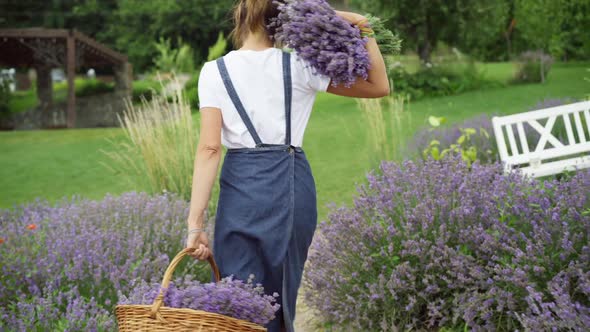 Camera Follows Confident Caucasian Woman Walking with Basket of Flowers and Lavender in Hand