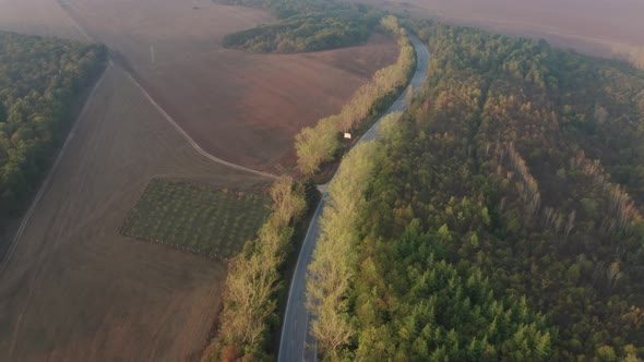 Drone flight over colorful autumn forest with road and cars