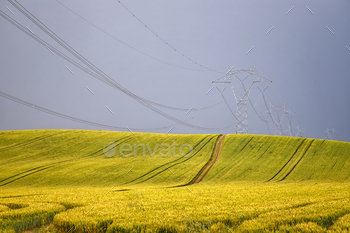 golden field / Photodune, Misc