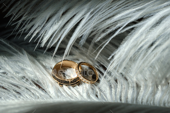 Two wedding rings lie in white feathers. The concept of love / Photodune, Misc