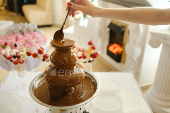 Fondue with a chocolate fountain and sweets for it.Sweet theme / Photodune, Misc