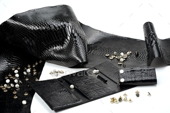 Black glancy pieces of leather look like reptile skin / Photodune, Misc