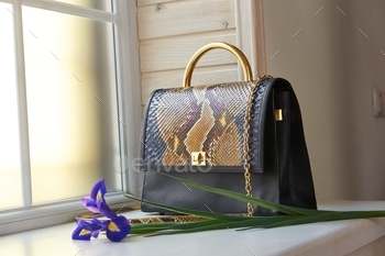Stylish fashionable woman s bag near the window / Photodune, Misc