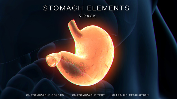 Stomach Elements