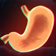 Stomach Elements 2 - VideoHive Item for Sale