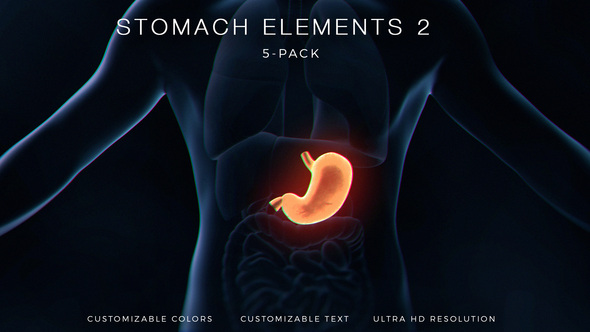 Stomach Elements 2