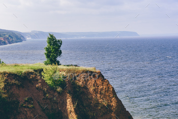 Lonely tree on cliff / Photodune, Misc