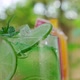 Mix Of Three Ice Refreshing Drinks With Orange, Lime And Grapefruit Cold Refreshing Cocktails - VideoHive Item for Sale