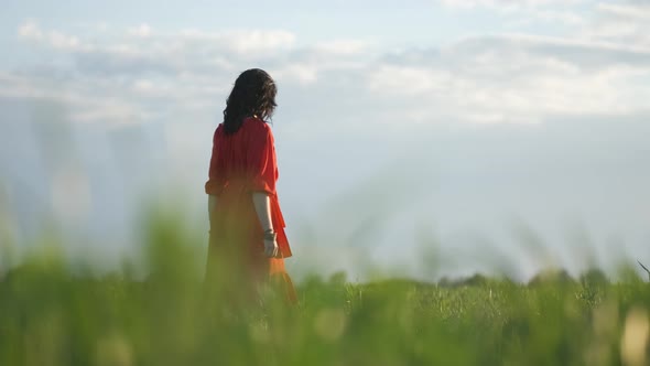 Beautiful Young Woman in a Red Dress Walks in a Green Wheat Field at Sunset or Dawn