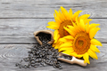 Sunflower flowers and seeds on wooden table - PhotoDune Item for Sale