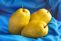 Three yellow ripe juicy pears on blue background - PhotoDune Item for Sale