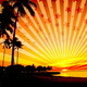 Summer Evening Dreams
