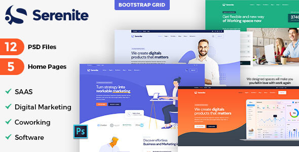 Saas Software Landing & Startup Agency Template