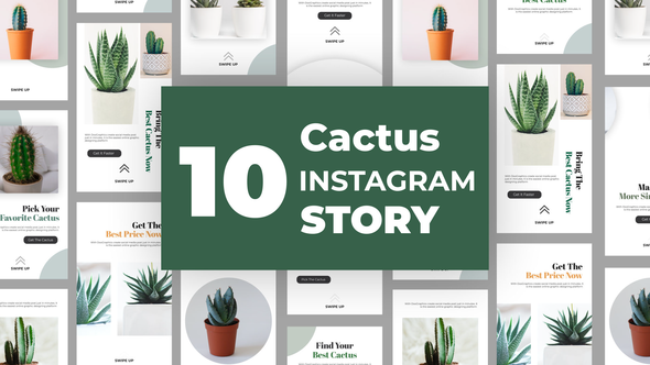 Cactus Instagram Story Pack