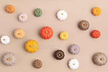 Collection of handmade plaster pumpkins. Autumn seasonal holidays background / Photodune, Misc